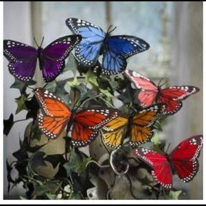 Meet your Posher, Dina